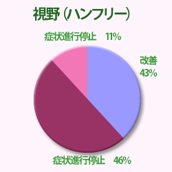 視野（ハンフリー）